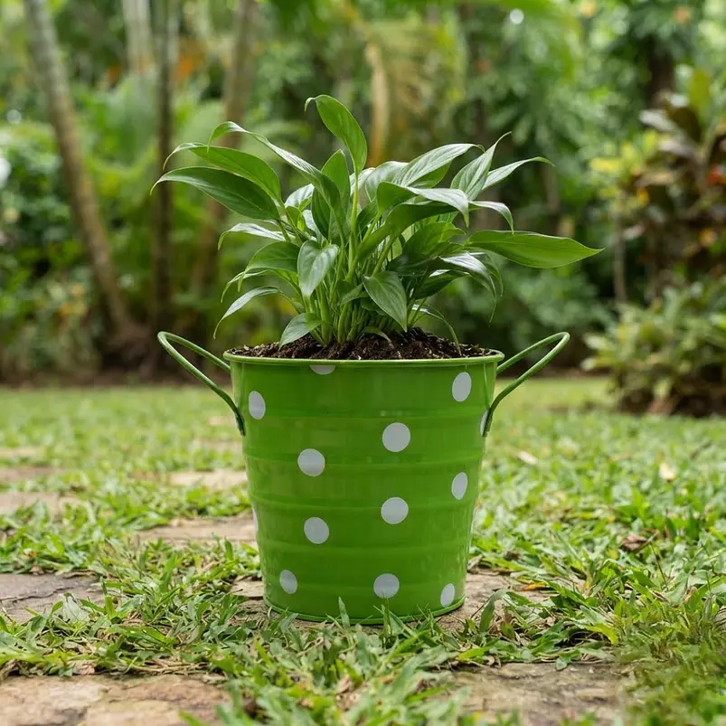 Maceta Metálica Decorativa Para Jardín Y Hogar 15
