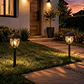 Estacas y Lámparas Solares LED Decorativas de Jardín - Miniatura 42