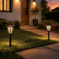 Estacas y Lámparas Solares LED Decorativas de Jardín - Miniatura 22