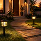 Estacas y Lámparas Solares LED Decorativas de Jardín - Miniatura 15