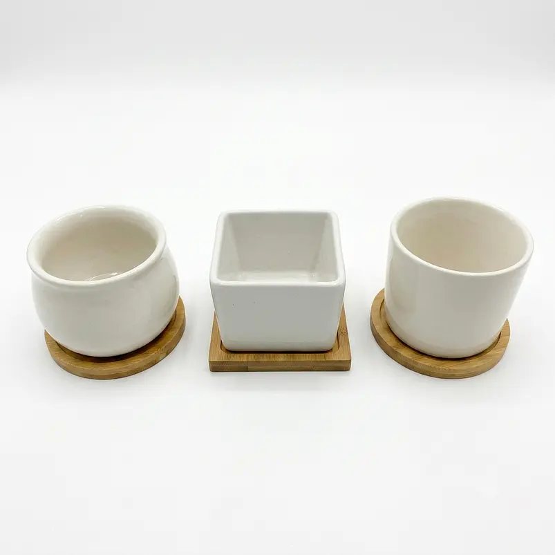 Set x3 mini macetas ceramica decorativas suculentas 4