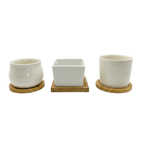 Set x3 mini macetas ceramica decorativas suculentas
