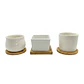 Set x3 mini macetas ceramica decorativas suculentas - Miniatura 1