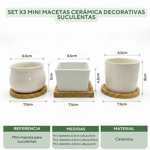 Set x3 mini macetas ceramica decorativas suculentas