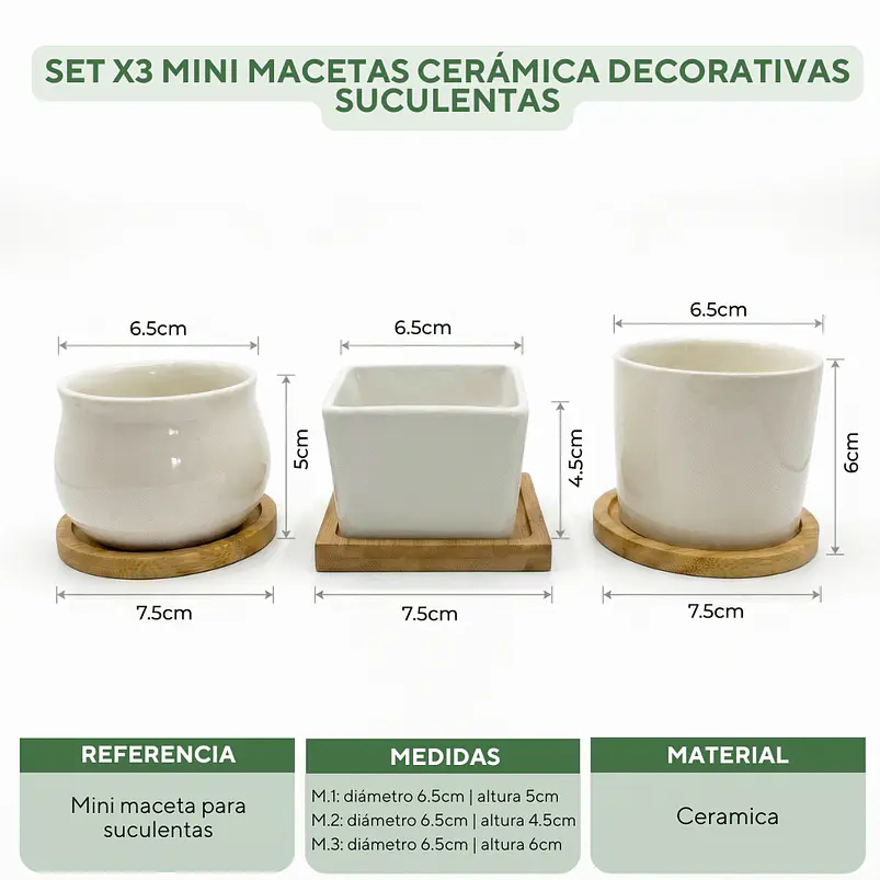 Set x3 mini macetas ceramica decorativas suculentas 2