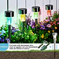 Estacas y Lámparas Solares LED Decorativas de Jardín - Miniatura 10