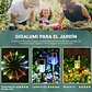 Estacas y Lámparas Solares LED Decorativas de Jardín - Miniatura 13