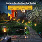 Estacas y Lámparas Solares LED Decorativas de Jardín - Miniatura 53