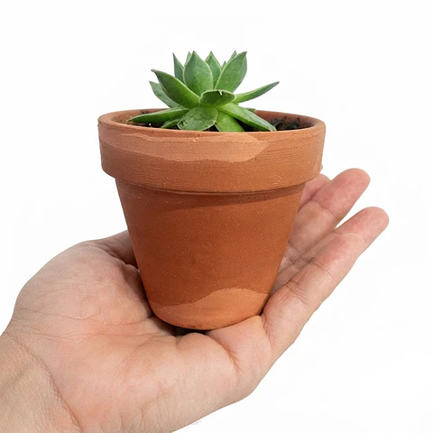 Matera De Plantas x5 Unidades Terracota En Arcilla 6.5cm x6cm