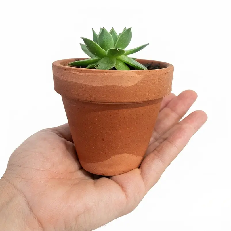 Matera De Plantas x5 Unidades Terracota En Arcilla 6.5cm x6cm 2