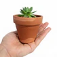 Matera De Plantas x5 Unidades Terracota En Arcilla 6.5cm x6cm - Miniatura 2