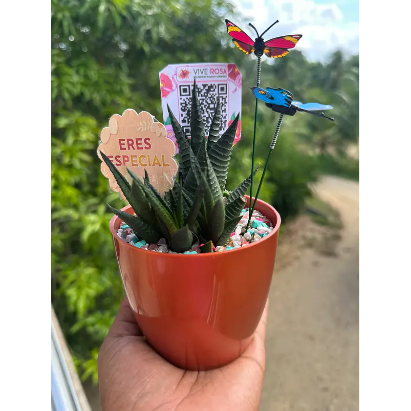 Mariposa decorativa x 1 und  3