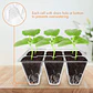 Bandejas De Germinación 6 Celdas Transparentes x120 Unidades - Miniatura 4