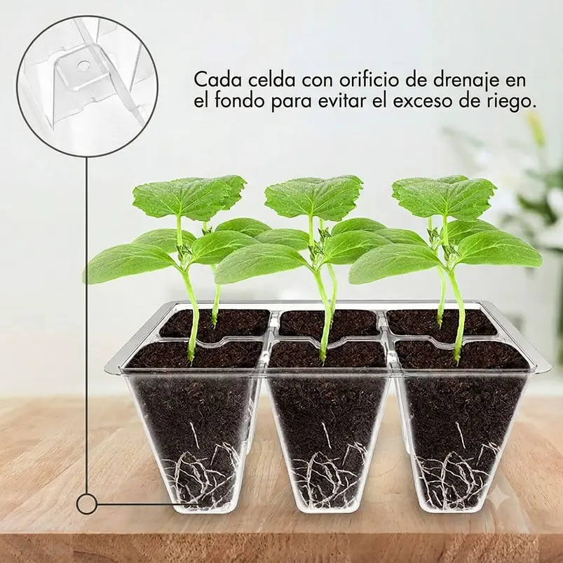 Bandejas De Germinación 6 Celdas Transparentes x120 Unidades 2