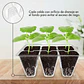 Bandejas De Germinación 6 Celdas Transparentes x120 Unidades - Miniatura 2