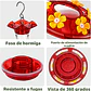 Bebedero De Colibríes Plástico 18 Onzas Con 6 Puertos De Alimentación - Miniatura 8