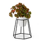 Soporte Maceta Decorativo Redondo 18,5cms Alto x13cm Diámetro  - Miniatura 3