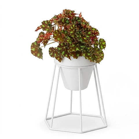 Soporte Maceta Decorativo Redondo 18,5cms Alto x13cm Diámetro 