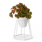 Soporte Maceta Decorativo Redondo 18,5cms Alto x13cm Diámetro  - Miniatura 1