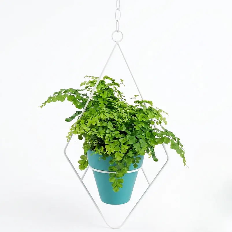 Soporte de Plantas Diseño Rombo Para Macetas Colgante 48cms Alto x 13cm Diámetro 2