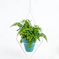Soporte de Plantas Diseño Rombo Para Macetas Colgante 48cms Alto x 13cm Diámetro - Miniatura 2