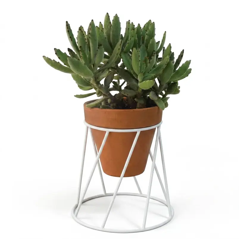 Soporte De Macetas Plantas 13cm Diámetro x16cm Alto Pisa 3