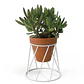Soporte De Macetas Plantas 13cm Diámetro x16cm Alto Pisa - Miniatura 3