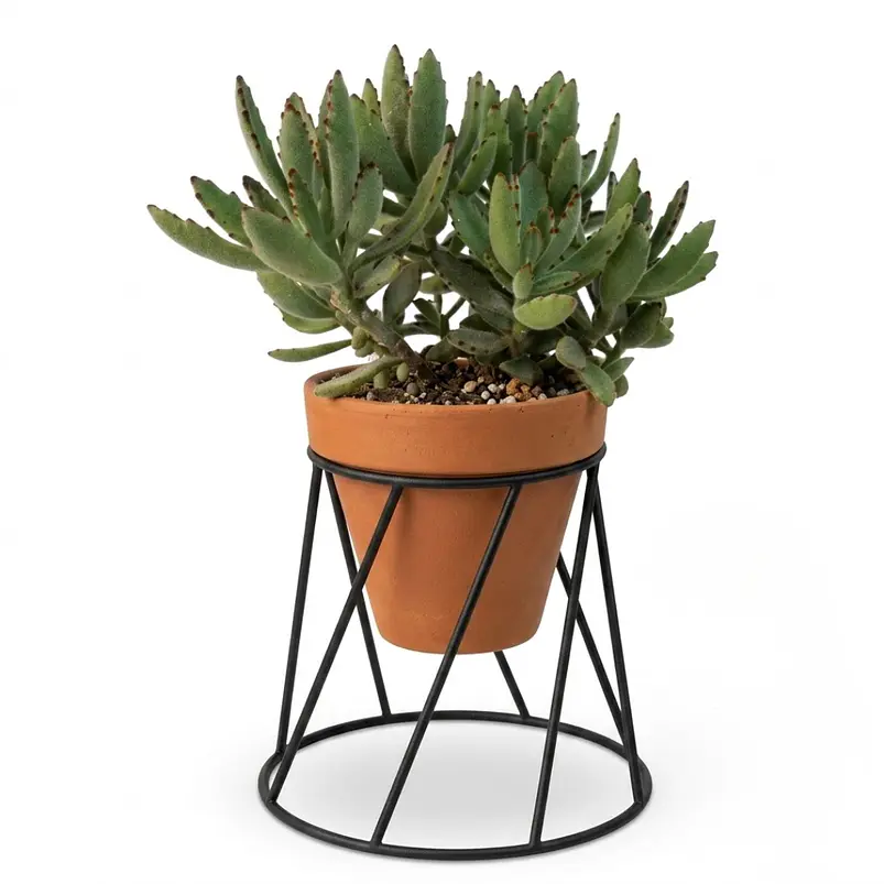 Soporte De Macetas Plantas 13cm Diámetro x16cm Alto Pisa 1