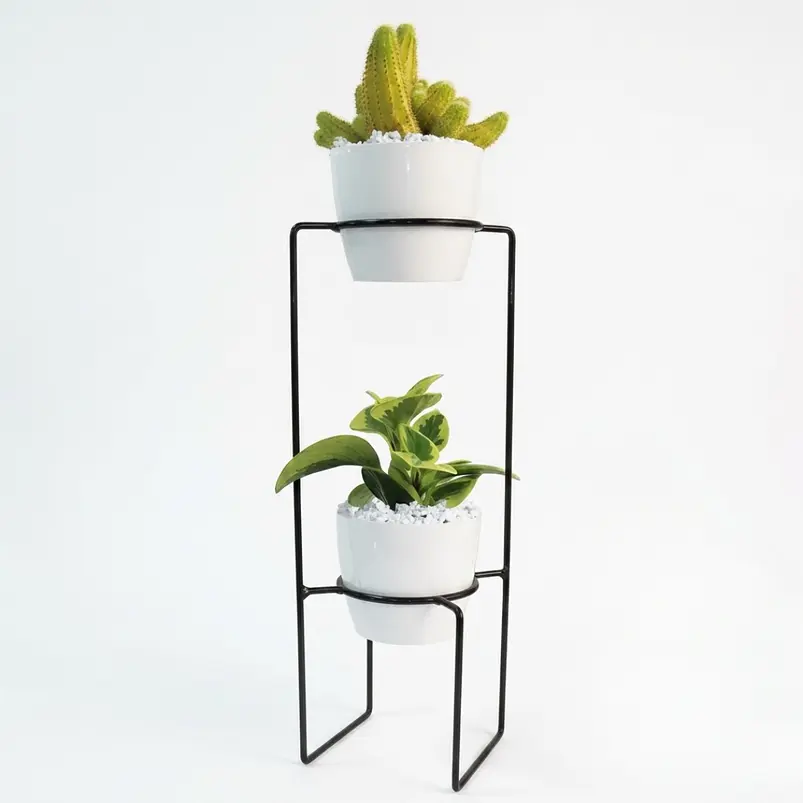 Soporte Roatán 2 Puestos 9cm Diámetro  1