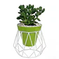 Soporte de Mesa de Maceta Plantas 19cm Alto 17cm Diámetro - Miniatura 2
