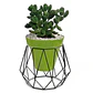 Soporte de Mesa de Maceta Plantas 19cm Alto 17cm Diámetro - Miniatura 1