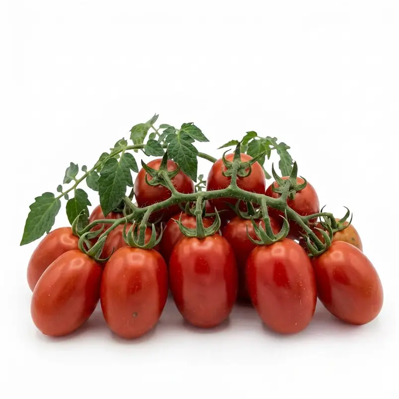 Tomate Rio Grande – Sobre 1gr 2