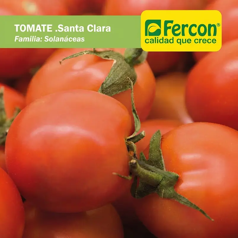 Tomate Santa Clara – Sobre 1gr 2