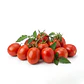 Tomate Santa Clara – Sobre 1gr - Miniatura 1
