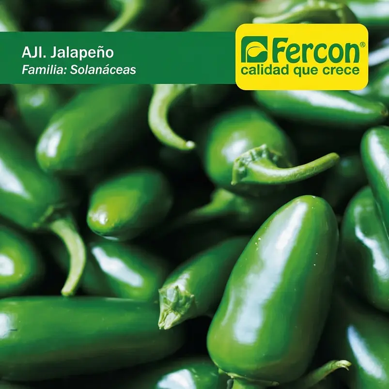 Ají Jalapeño – Sobre 1gr 2