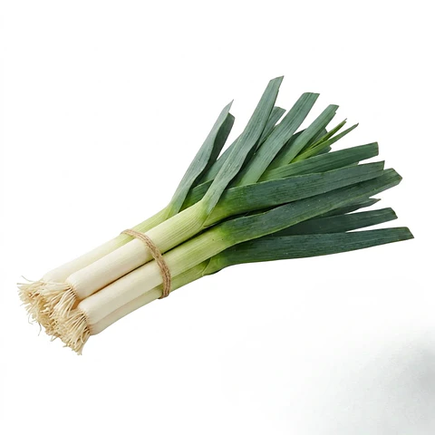 Cebolla Puerro Carentan Bio – Sobre 1gr
