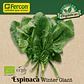 Espinaca Winter Giant Bio – Sobre 1gr - Miniatura 3