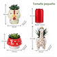 Set Macetas en Cerámica diseños Animales x 3 Piezas ideal para Cactus Suculentas - Miniatura 2