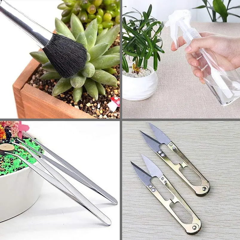 Kit Herramientas Plantas Cactus Suculenta x15 Piezas Azul 5