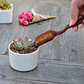 Kit Herramientas Plantas Cactus Suculenta x15 Piezas Azul - Miniatura 8