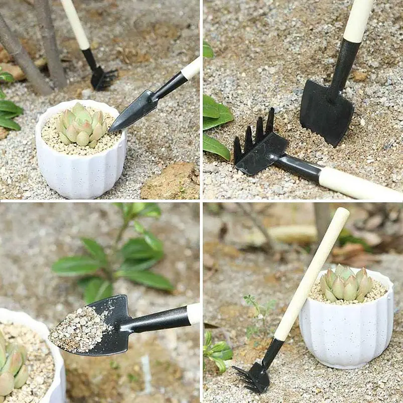 Kit Herramientas Plantas Cactus Suculenta x15 Piezas Azul 4