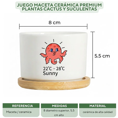 Juego Maceta Cerámica Premium Plantas Cactus y Suculentas