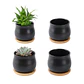 Maceta Cerámica x4 unidades más platillo bambú cactus 6cm diámetro x5.5cm alto - Miniatura 2