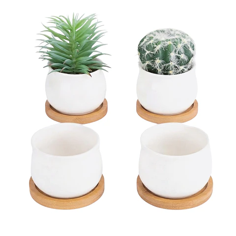 Maceta Cerámica x4 unidades más platillo bambú cactus 6cm diámetro x5.5cm alto