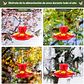 Bebedero Colibrí 200ml Colgante Plástico 6 Puertos x2 Unidades - Miniatura 6