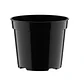 Maceta plantas x25 unidades tipo vivero 8cm diámetro x7cm alto - Miniatura 1