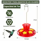 Bebedero Colibrí 200ml Colgante Plástico 6 Puertos x2 Unidades - Miniatura 2