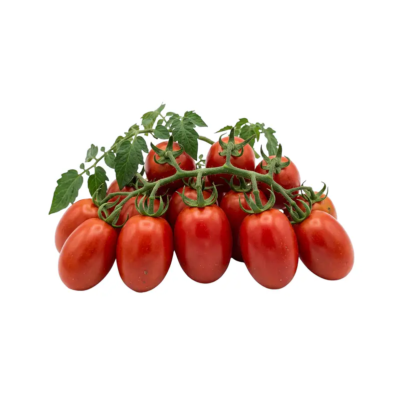 Tomate Río Grande - Sobre 1gr 1