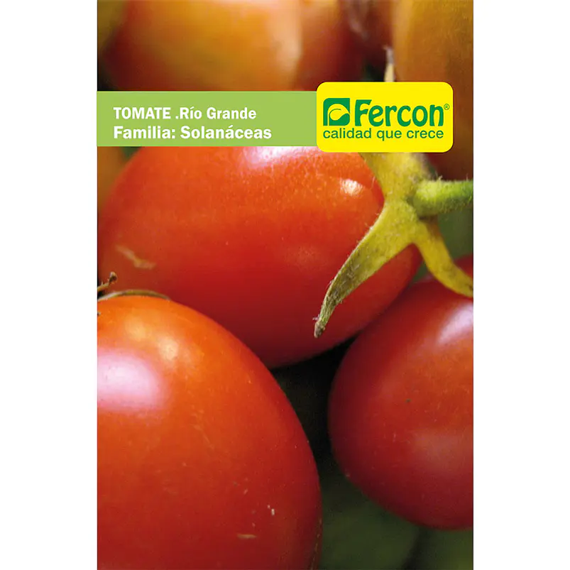 Tomate Río Grande - Sobre 1gr 2