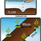 Tomate Río Grande - Sobre 1gr - Miniatura 3